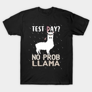 Best Gift Idea with Quote for Llama Lovers T-Shirt